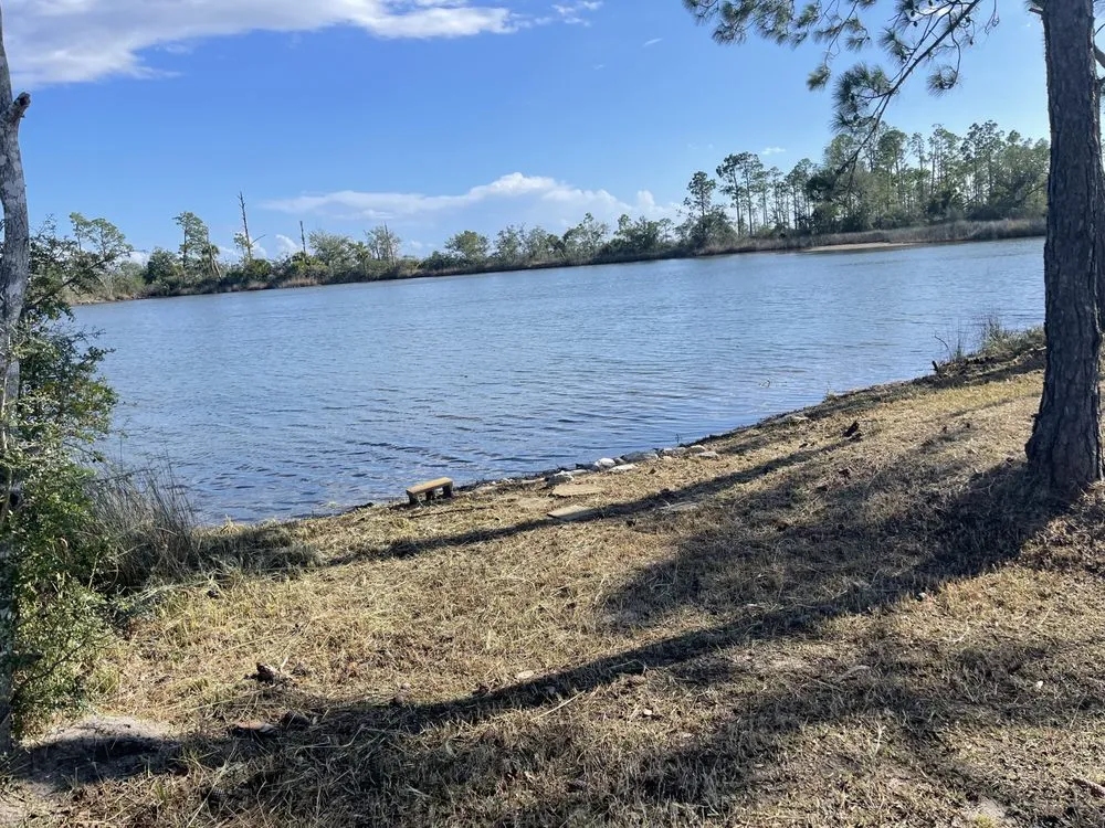 Affordable outdoor landscaping in Panama City, FL by Beach Complete