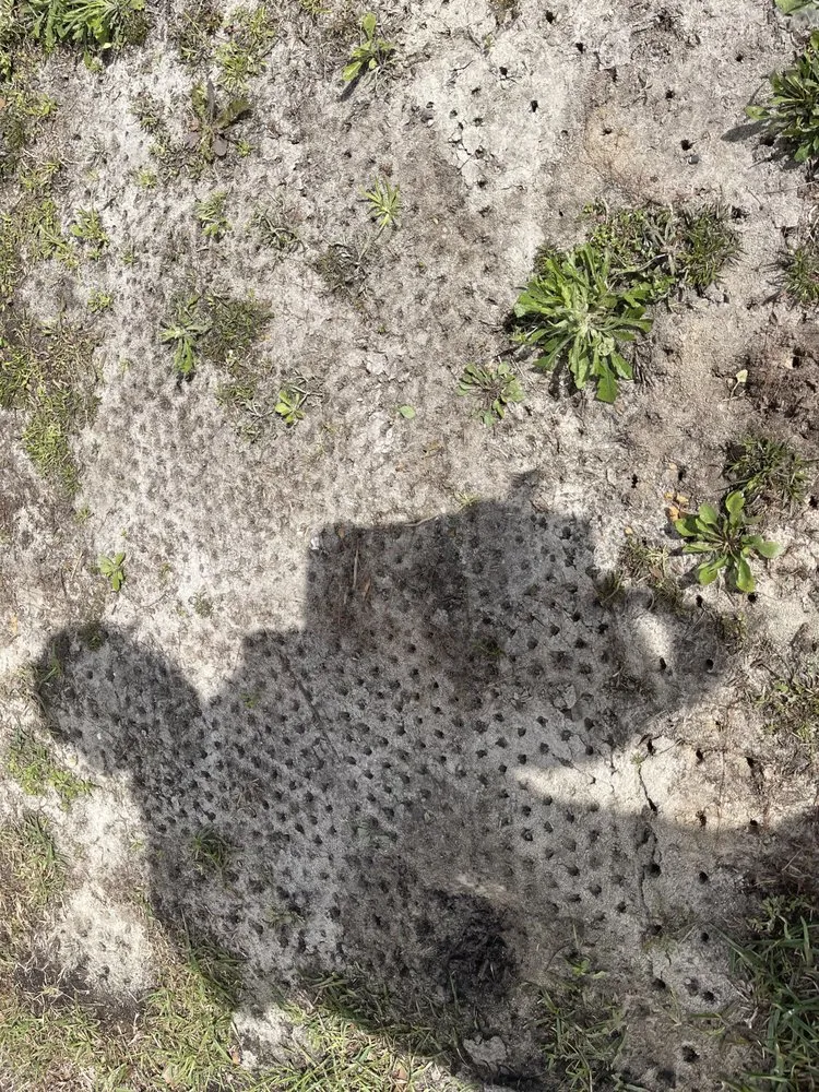 Trusted lawn care service in Panama City, FL - Beach Complete