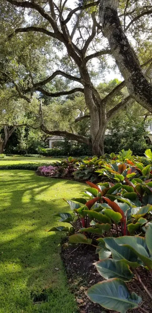 Trusted garden landscaping with custom design in Miami, FL by Beach House Lighting and Landscaping