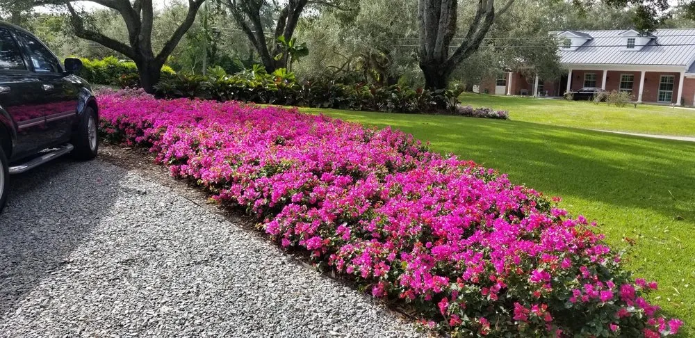 Professional outdoor landscaping near you in Miami, FL by Beach House Lighting and Landscaping