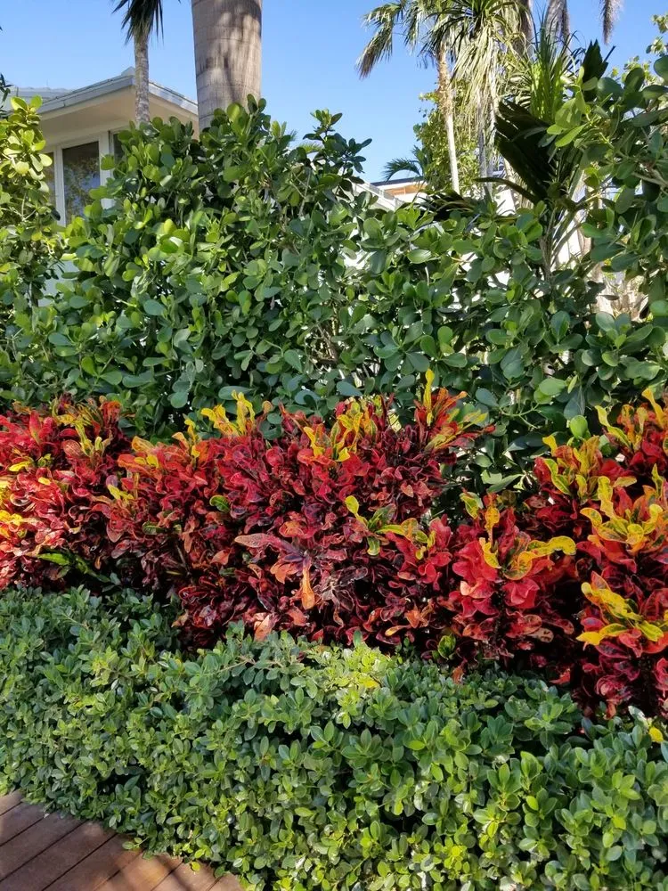 Trusted landscape design in Miami, FL by Beach House Lighting and Landscaping