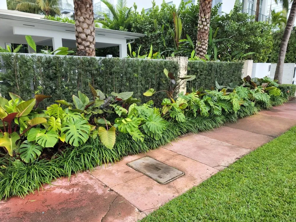 Expert yard cleanup service in Miami, FL - Beach House Lighting and Landscaping