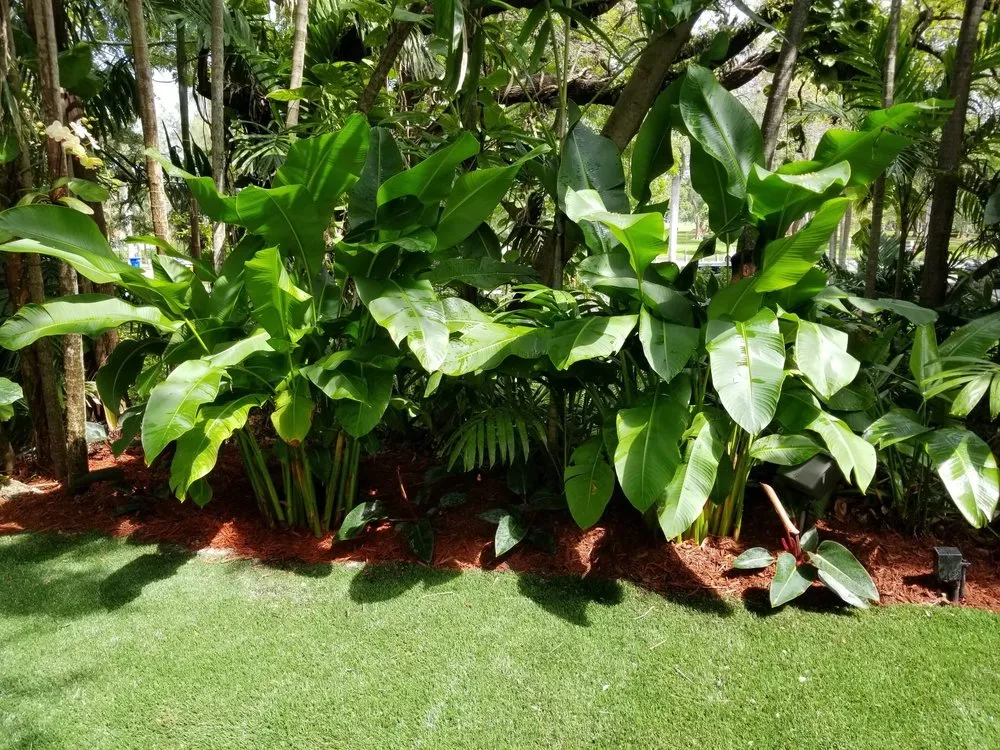 Custom landscaping services in Miami, FL - Beach House Lighting and Landscaping