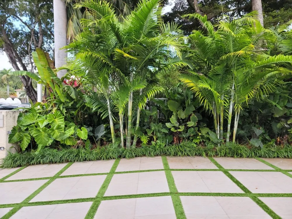 Local lawn care service experts serving Miami, FL - Beach House Lighting and Landscaping
