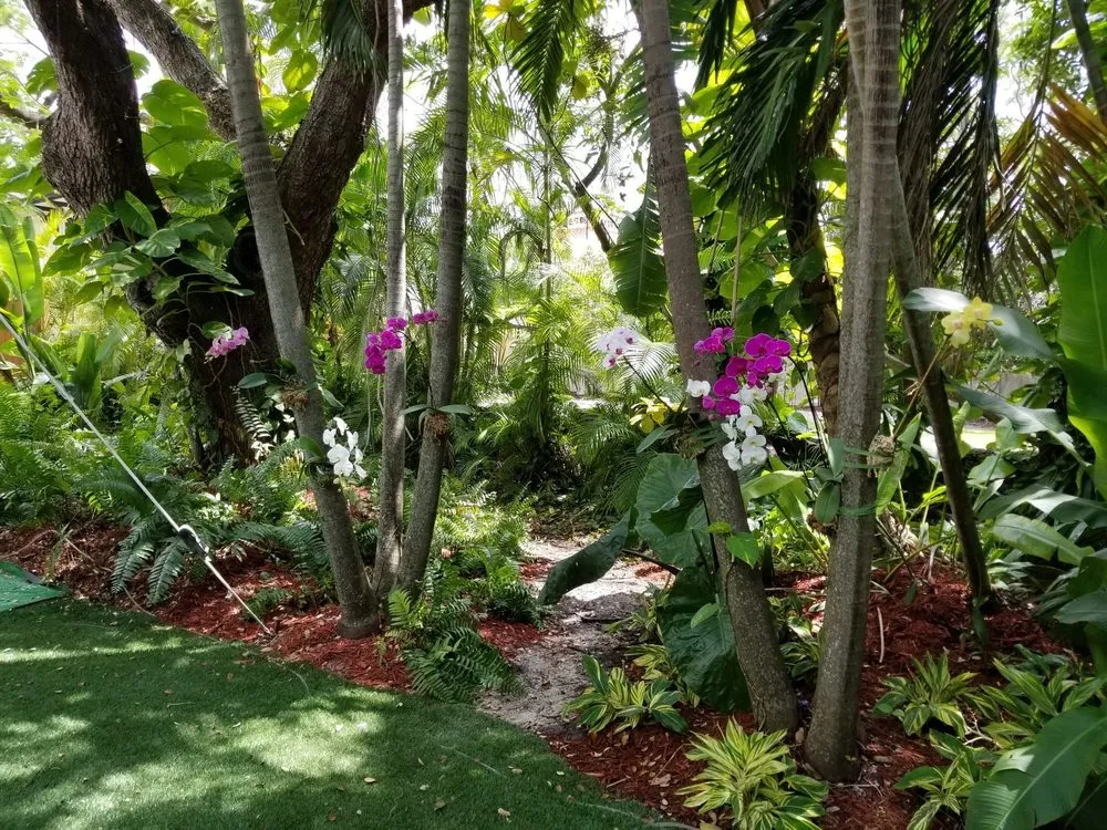 Top-rated yard cleanup service in Miami, FL by Beach House Lighting and Landscaping