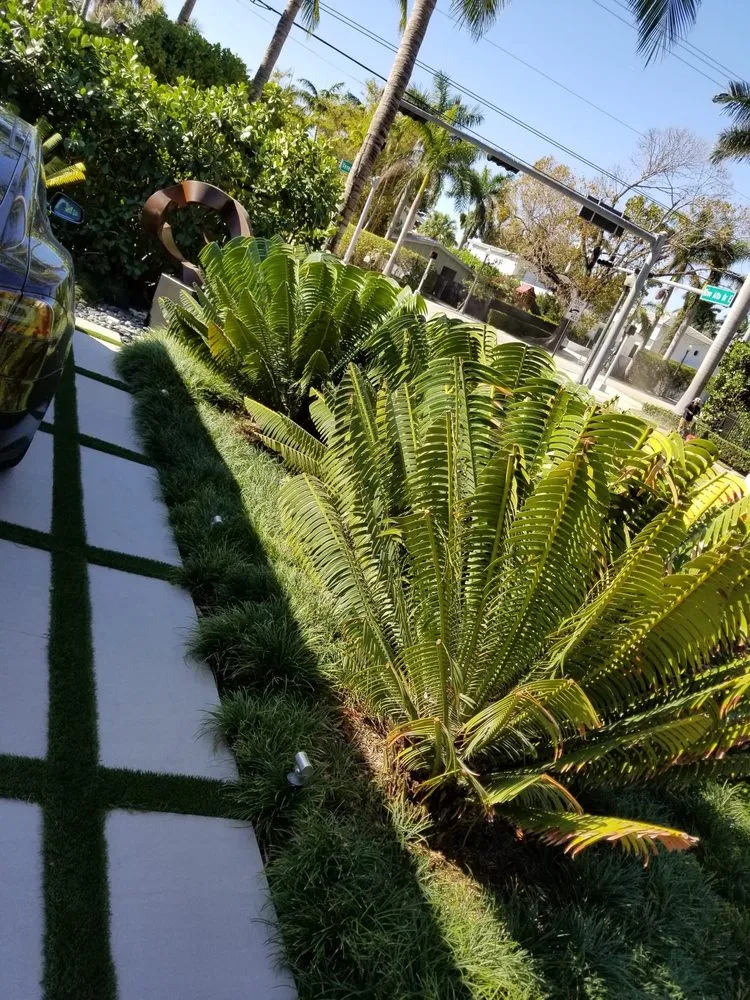 Professional landscape design in Miami, FL - Beach House Lighting and Landscaping