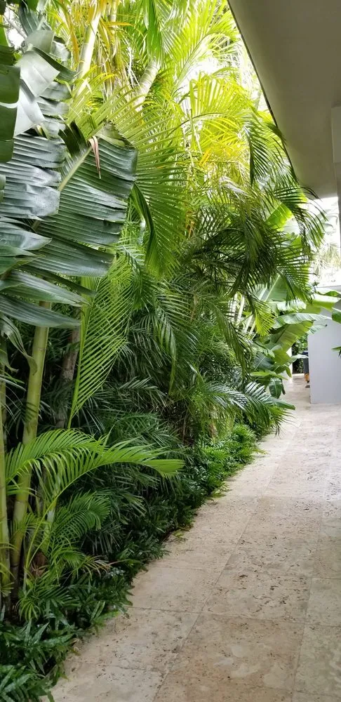 Professional landscaping services experts serving Miami, FL - Beach House Lighting and Landscaping