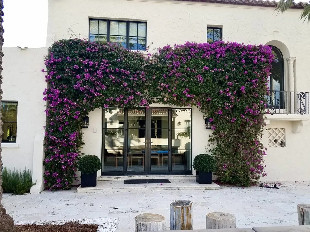 Custom landscaping services in Miami, FL by Beach House Lighting and Landscaping