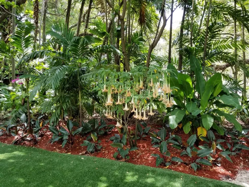 Trusted landscaping services in Miami, FL - Beach House Lighting and Landscaping