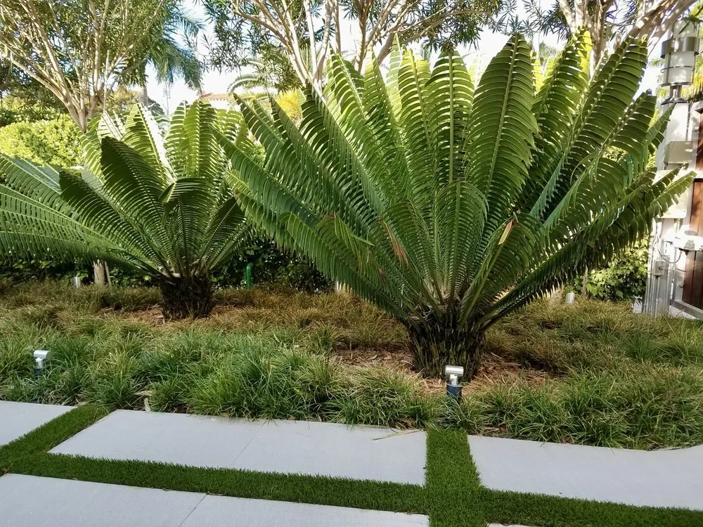Professional landscape design for outdoor upgrades in Miami, FL by Beach House Lighting and Landscaping