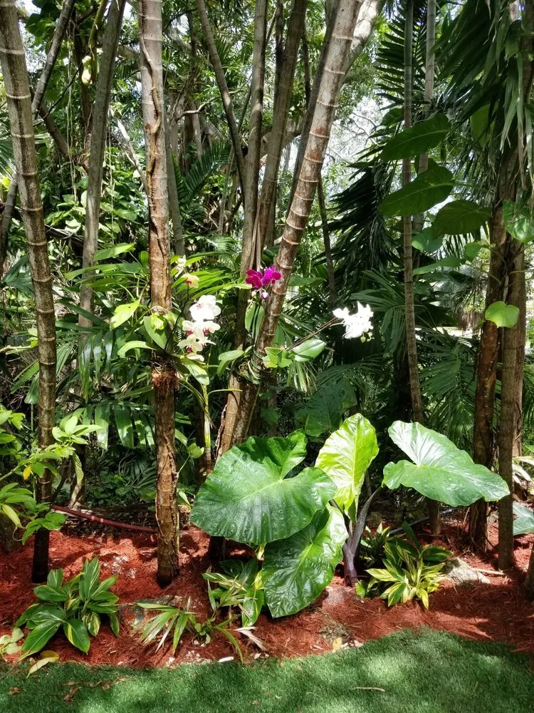 Local residential landscaping in Miami, FL by Beach House Lighting and Landscaping