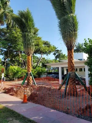 Beach House Lighting and Landscaping Logo