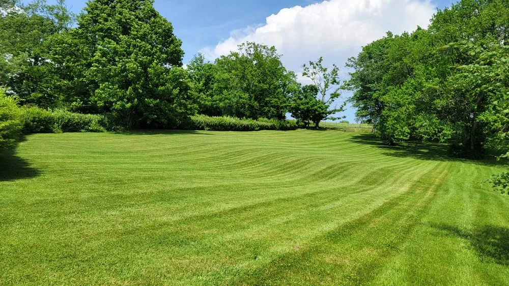 Affordable yard maintenance for homes across Shelbyville, KY - Beach Landscaping & More
