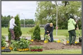Professional landscape installation for outdoor upgrades in Myrtle Beach, SC by Beach Landscaping