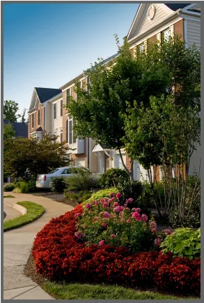 Top-rated landscaping services in Myrtle Beach, SC - Beach Landscaping