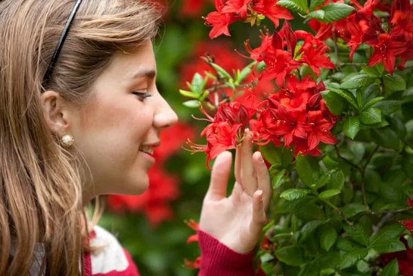 Local landscape installation in Myrtle Beach, SC by Beach Landscaping