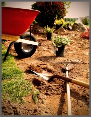 Affordable residential landscaping experts serving Myrtle Beach, SC - Beach Landscaping