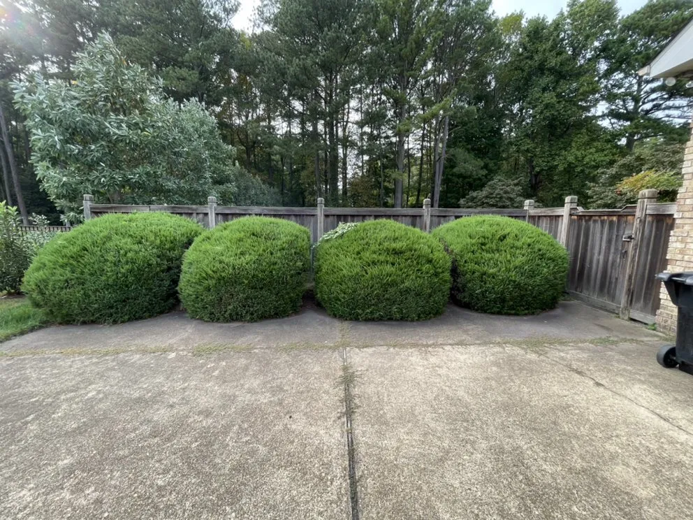 Affordable lawn mowing service in Virginia Beach, VA - Beach Landscaping