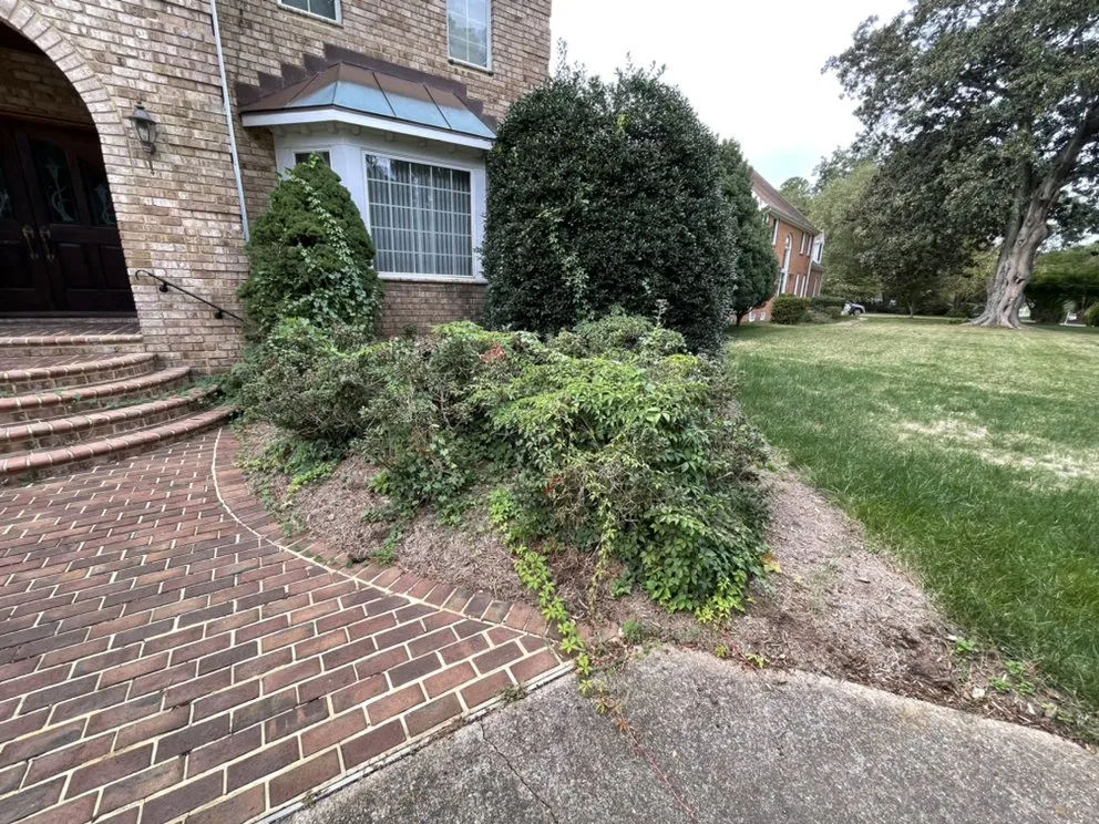 Professional garden landscaping for outdoor upgrades in Virginia Beach, VA by Beach Landscaping