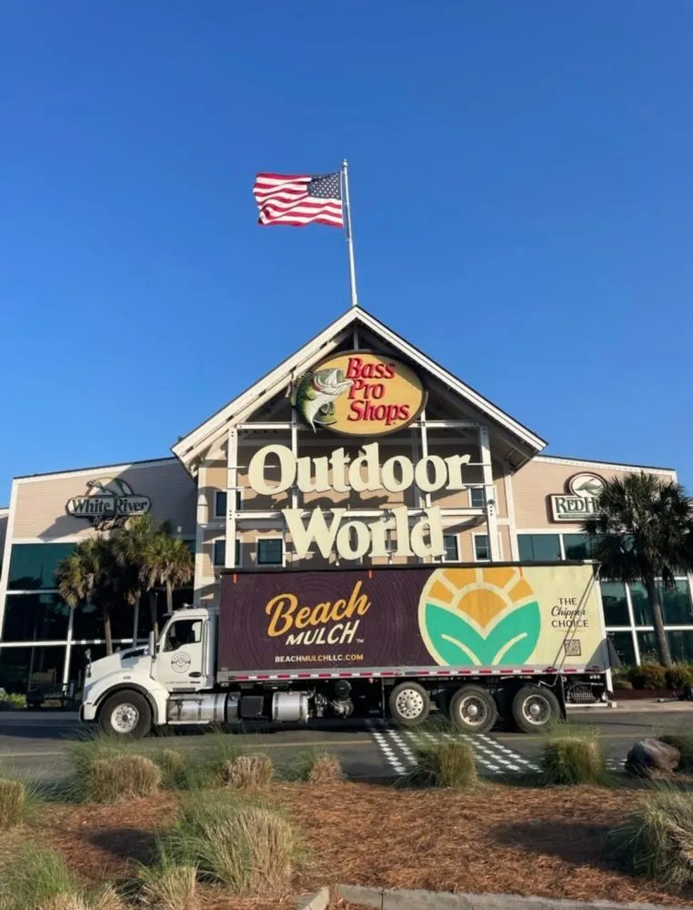 Local yard cleanup service for year-round maintenance across Galivants Ferry, SC - Beach Mulch