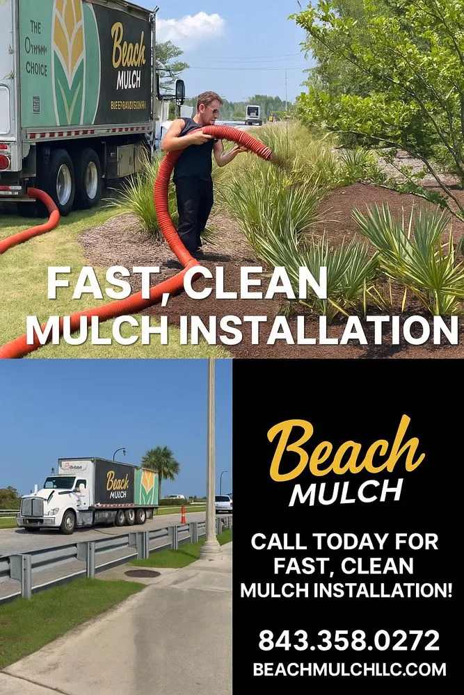 Expert residential landscaping near you across Galivants Ferry, SC - Beach Mulch