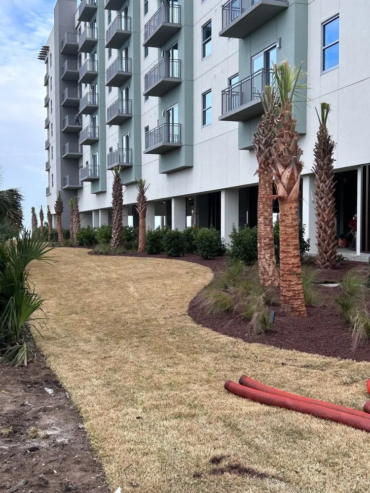 Top-rated yard cleanup service for homes in Galivants Ferry, SC by Beach Mulch