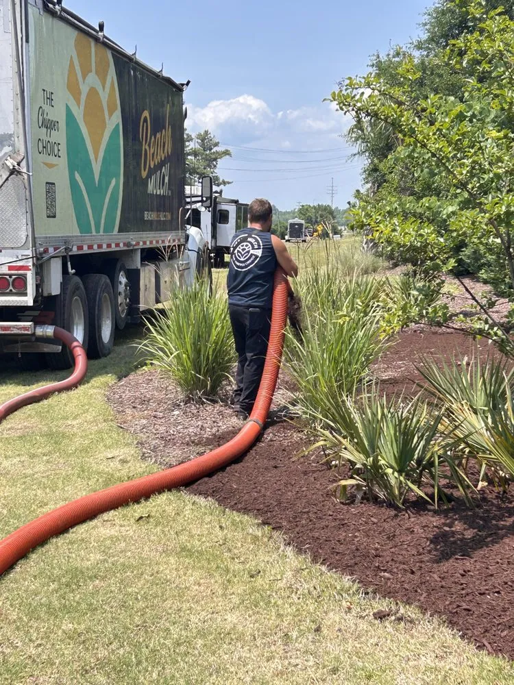 Reliable lawn mowing service in Galivants Ferry, SC by Beach Mulch