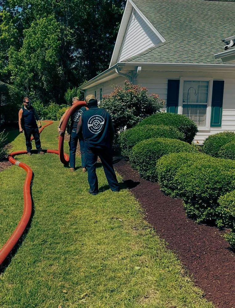 Custom landscape design near you in Galivants Ferry, SC by Beach Mulch