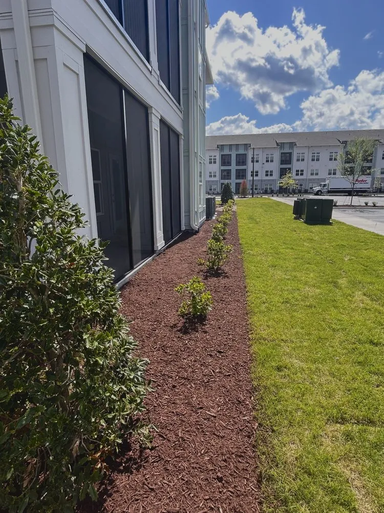 Local lawn care service experts serving Galivants Ferry, SC - Beach Mulch