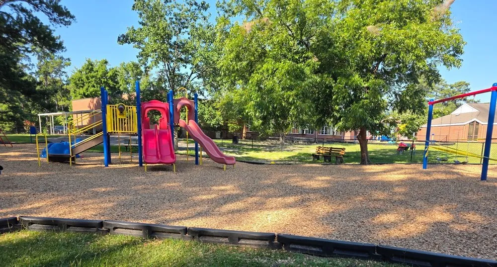 Local yard cleanup service experts serving Galivants Ferry, SC - Beach Mulch