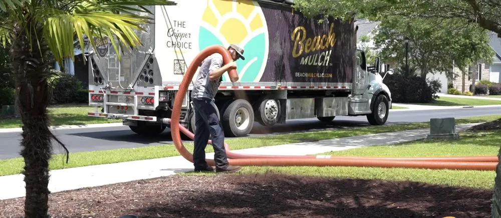 Reliable residential landscaping experts serving Galivants Ferry, SC - Beach Mulch