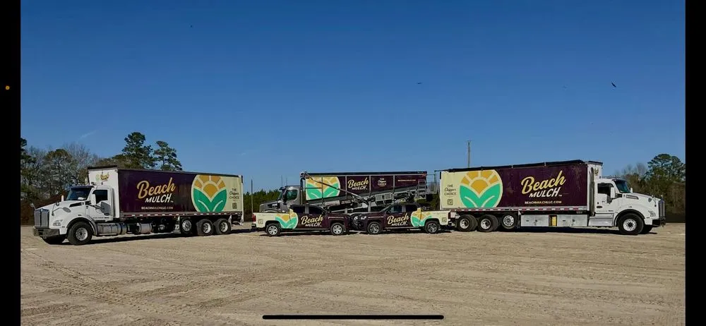 Trusted lawn care service experts serving Galivants Ferry, SC - Beach Mulch