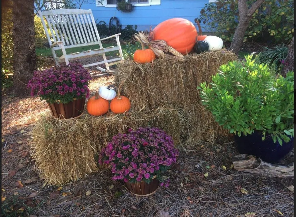 Affordable lawn care service experts serving Rehoboth Beach, DE - Beach Property Pros