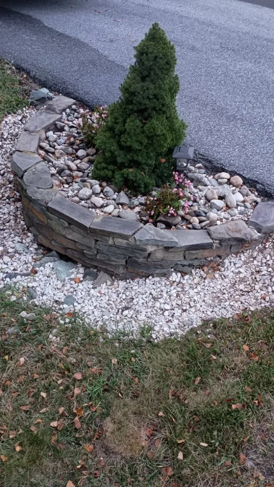 Top-rated lawn care service near you across Rehoboth Beach, DE - Beach Property Pros