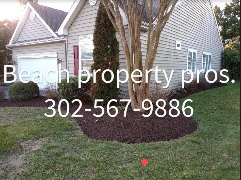 Trusted outdoor landscaping experts serving Rehoboth Beach, DE - Beach Property Pros