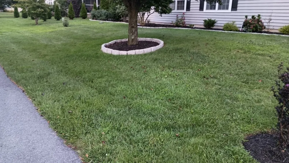 Trusted residential landscaping experts serving Rehoboth Beach, DE - Beach Property Pros