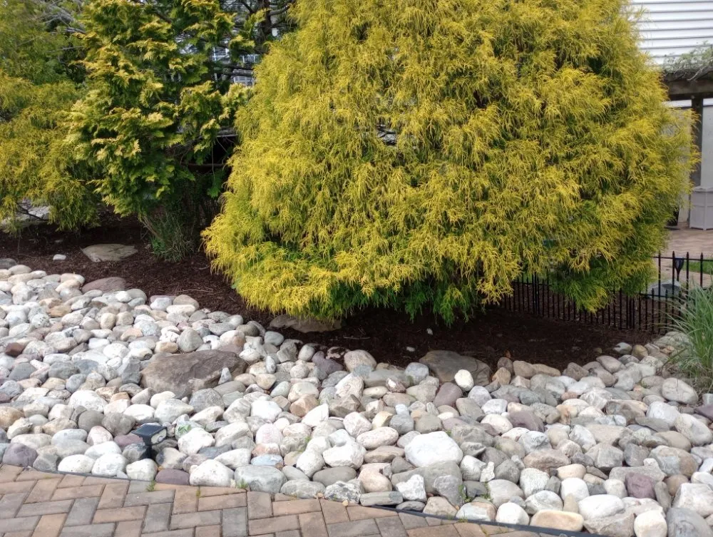 Custom residential landscaping in Rehoboth Beach, DE by Beach Property Pros