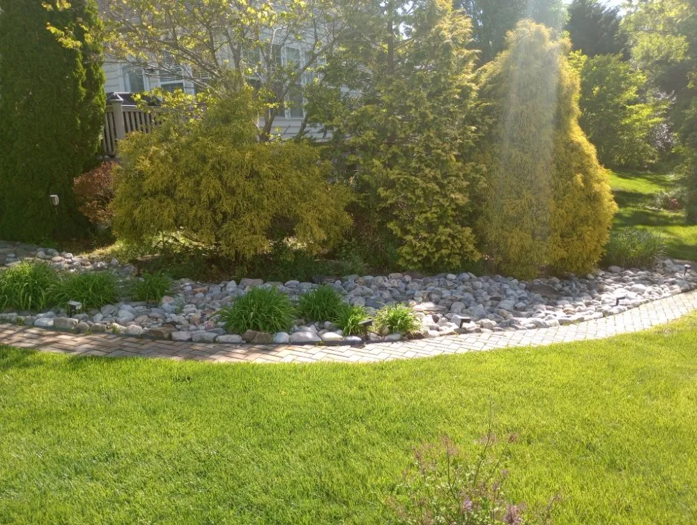 Professional lawn care service for residential properties in Rehoboth Beach, DE by Beach Property Pros