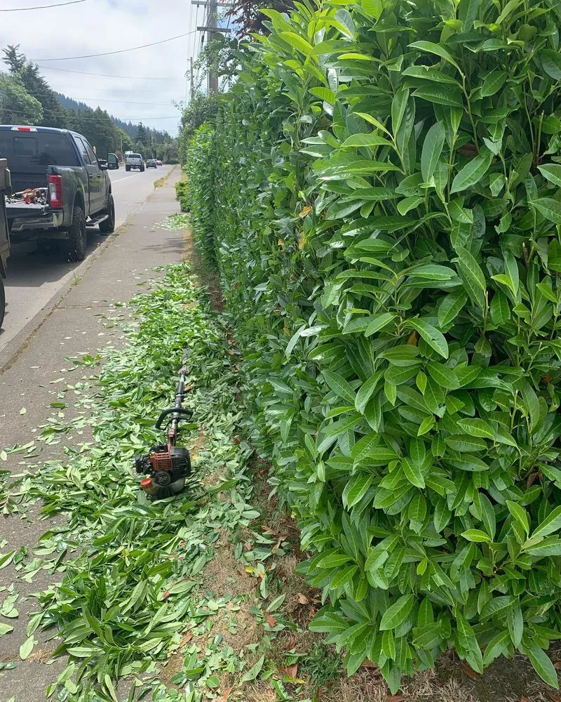 Custom landscape design with custom design across Long Beach, WA - Beach Time Landscaping