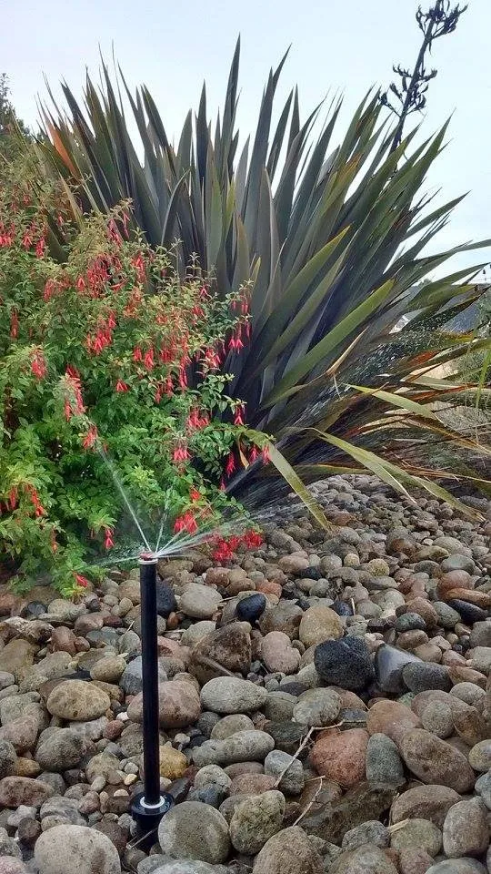 Local yard cleanup service for residential properties across Long Beach, WA - Beach Time Landscaping