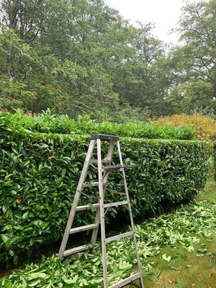 Reliable garden landscaping with custom design across Long Beach, WA - Beach Time Landscaping