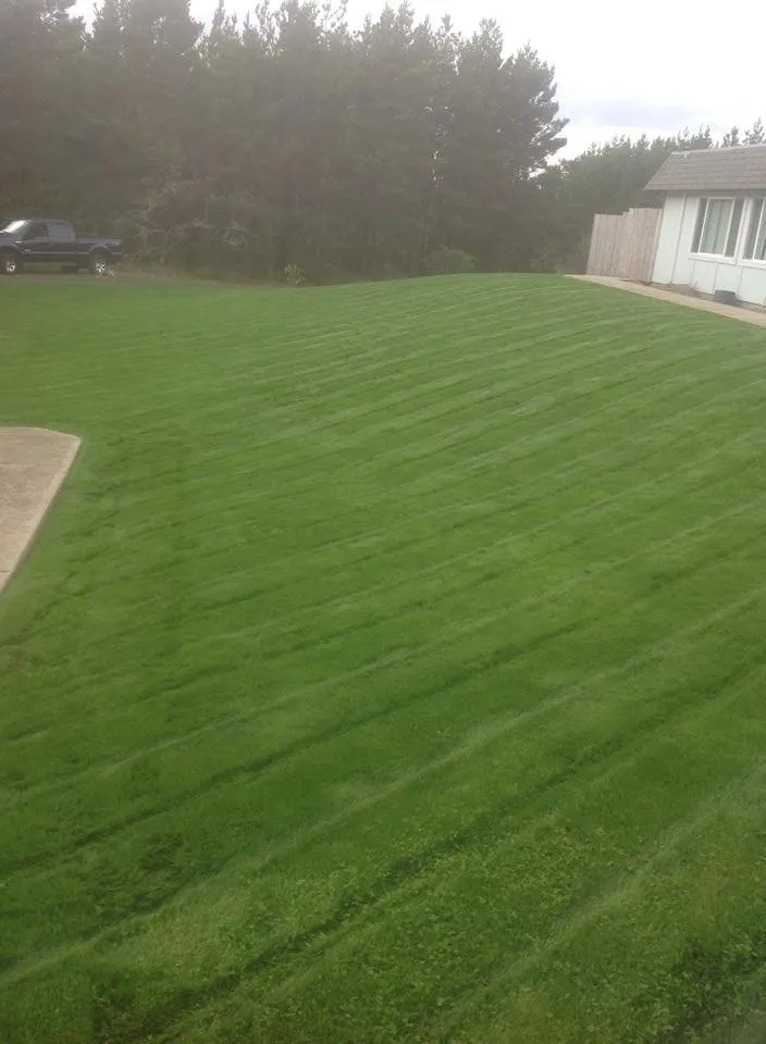Affordable lawn mowing service for beautiful yards across Long Beach, WA - Beach Time Landscaping