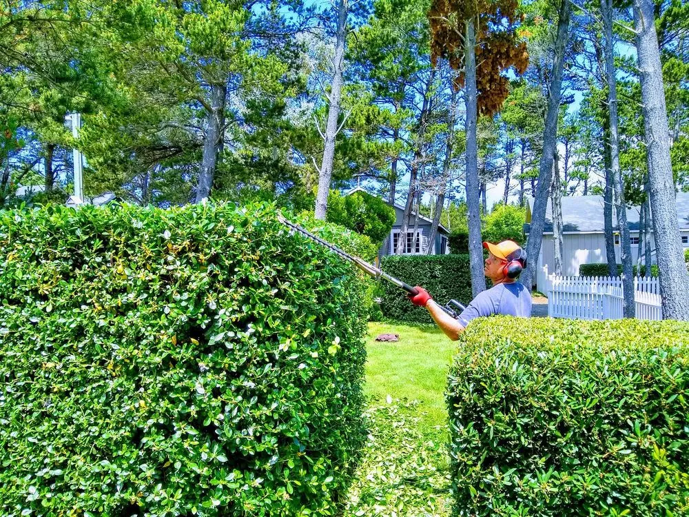 Expert landscaping services with custom design across Long Beach, WA - Beach Time Landscaping