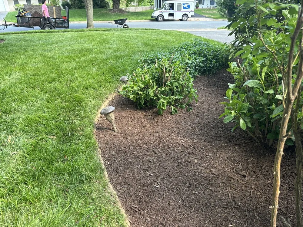 Affordable yard cleanup service in Germantown, MD - Beachboy Grounds Maintenance