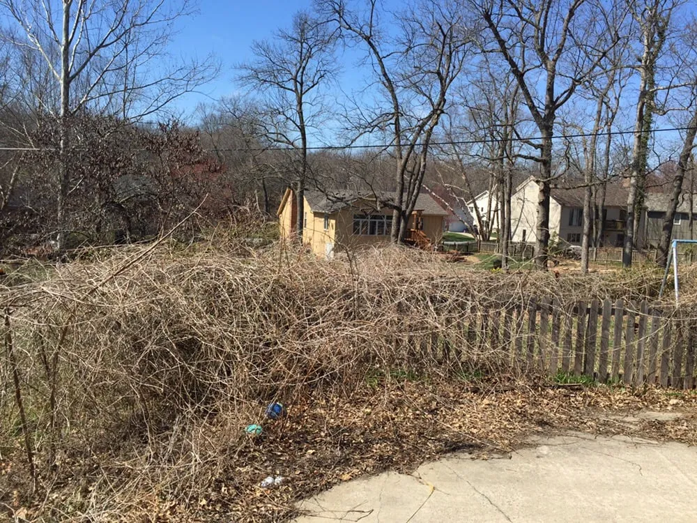 Reliable yard cleanup service experts serving Harrisonville, MO - Beachner Lawn Care