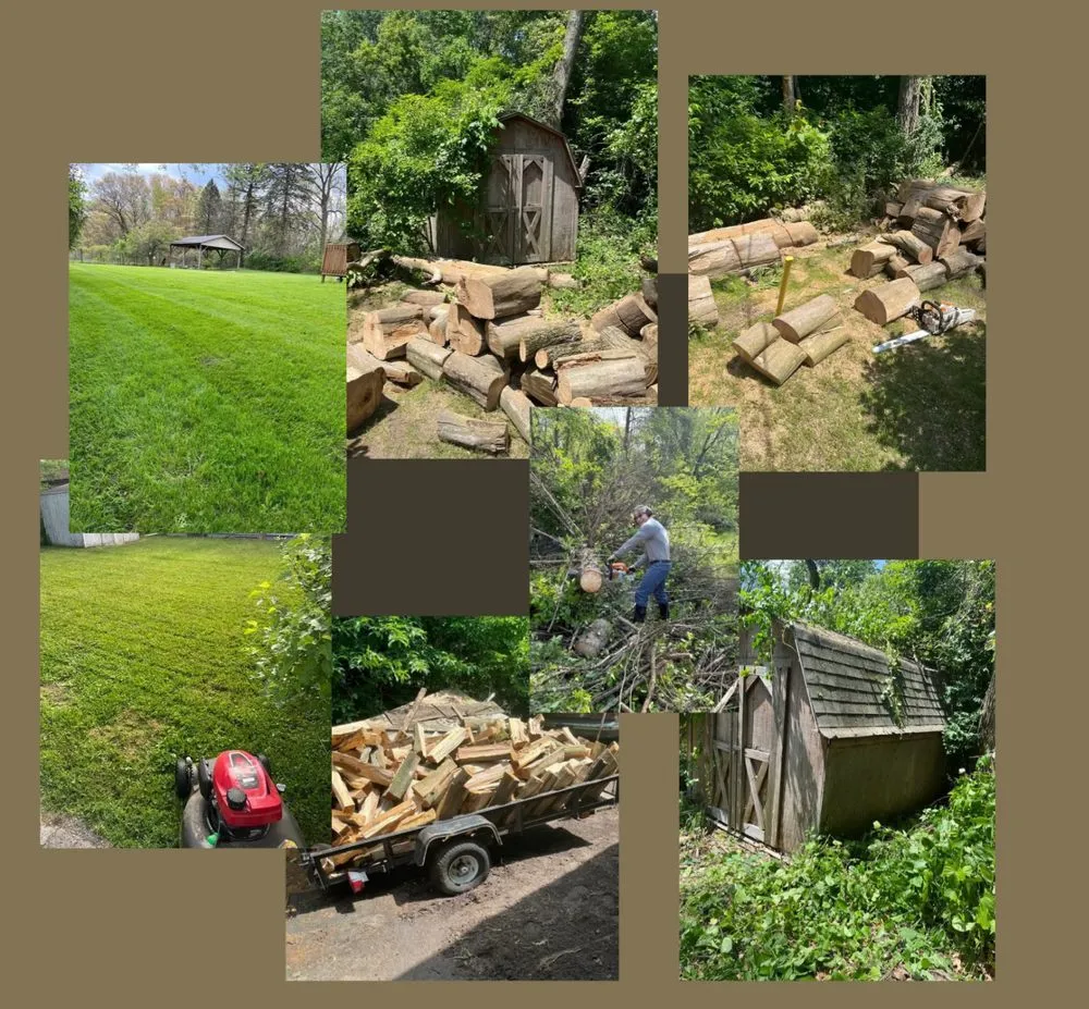 Professional landscaping services in Michigan City, IN - Beachside Cleaners