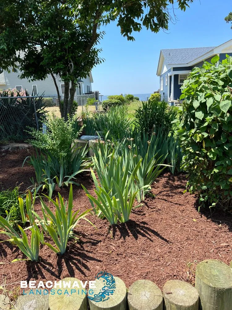 Expert residential landscaping for beautiful yards across Manteo, NC - Beachwave landscaping