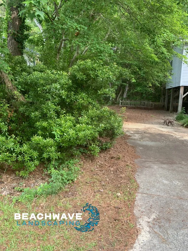 Custom lawn care service experts serving Manteo, NC - Beachwave landscaping