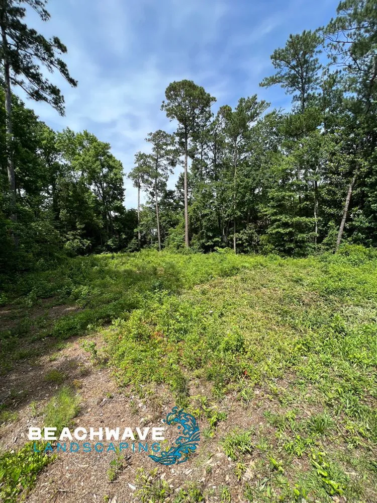 Expert yard maintenance in Manteo, NC - Beachwave landscaping