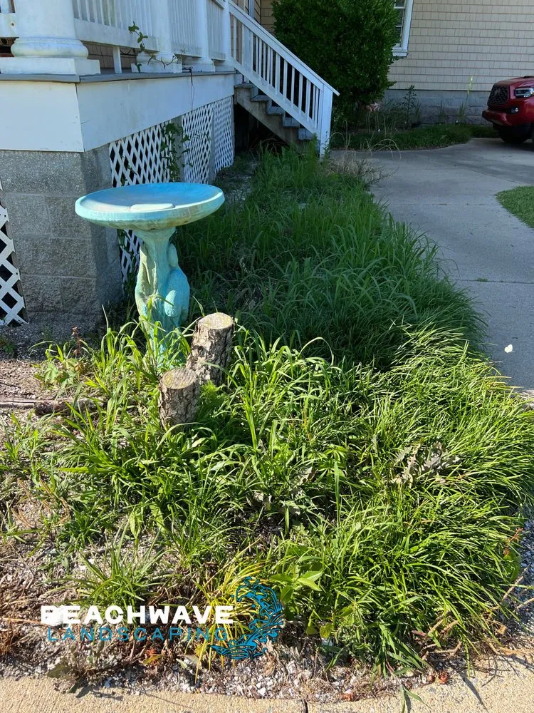 Reliable garden landscaping in Manteo, NC - Beachwave landscaping